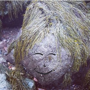 Meet your Posher, Ann